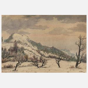 Hans Schiel, Winter im Thüringer Land