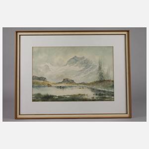 Wolf, Hochgebirgslandschaft