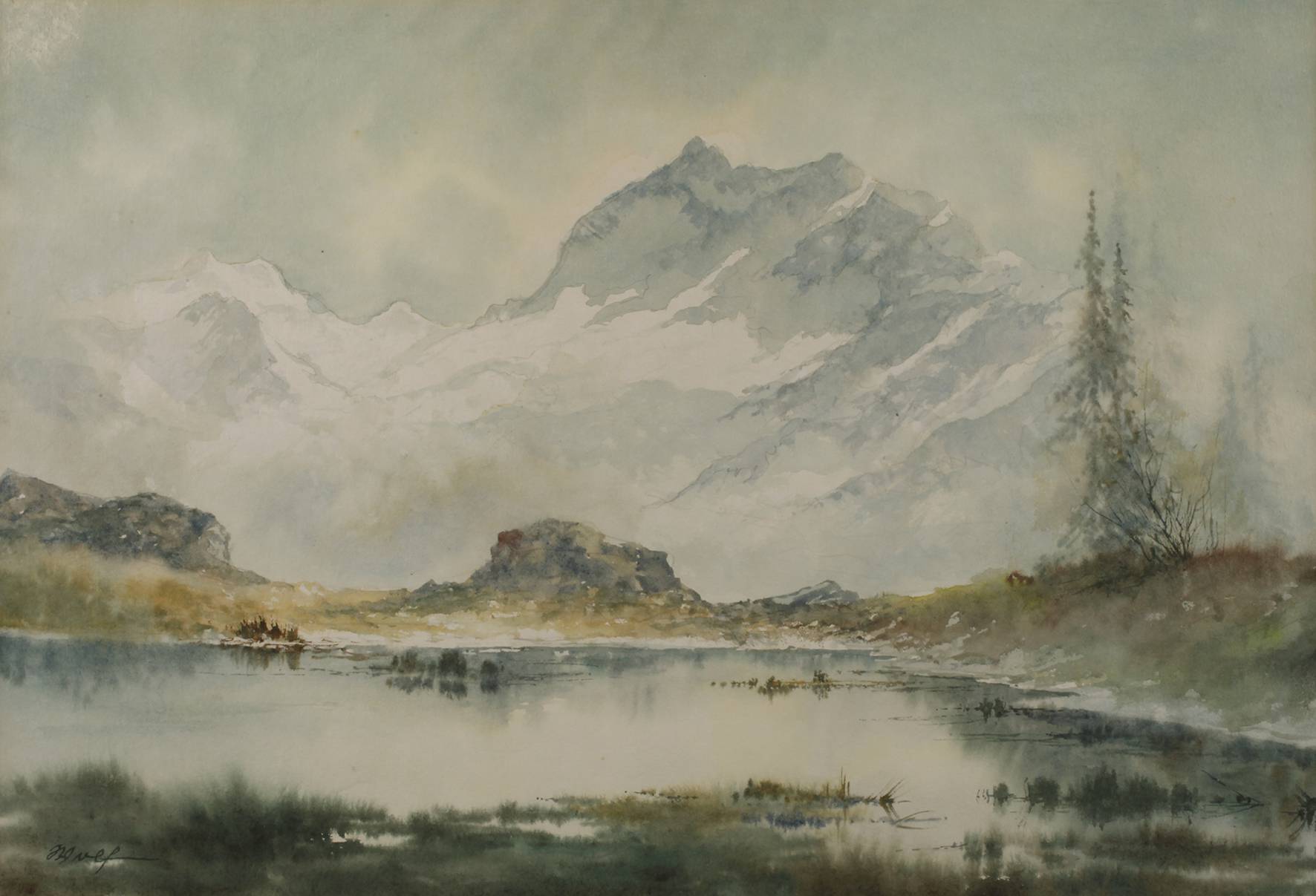 Wolf, Hochgebirgslandschaft