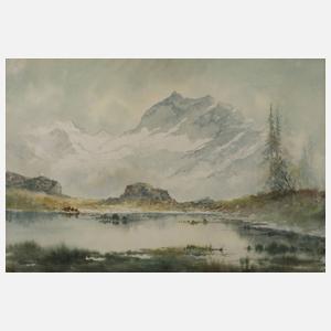 Wolf, Hochgebirgslandschaft