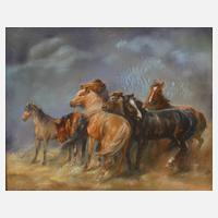 Pferde im Gewitter111