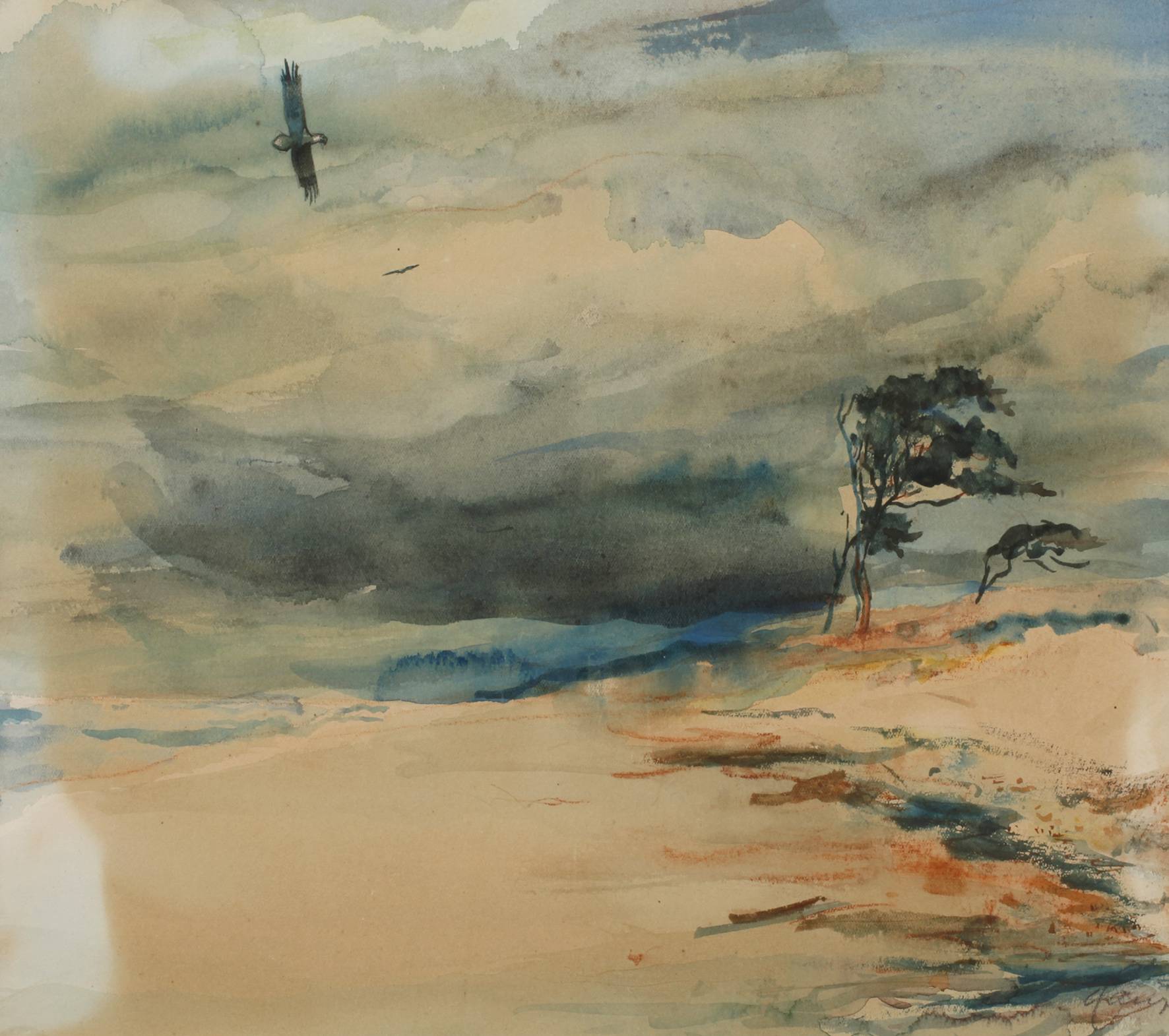 "Windflüchter am Weststrand Darss"