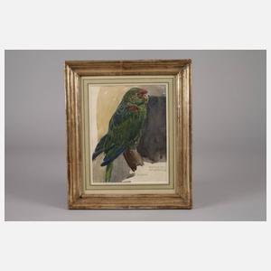 Felix Heynig, Paar Tierstudien