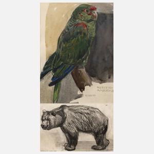 Felix Heynig, Paar Tierstudien