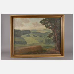 Bernhard Paul Mehnert, ”Erzgebirgslandschaft ...”