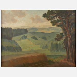 Bernhard Paul Mehnert, ”Erzgebirgslandschaft ...”