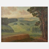 Bernhard Paul Mehnert, ”Erzgebirgslandschaft ...”111