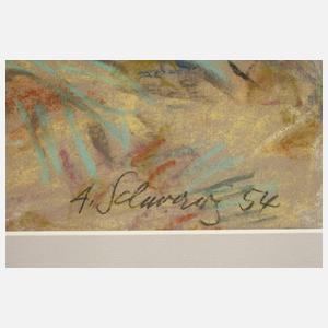 Albert Schwarz, An der Küste