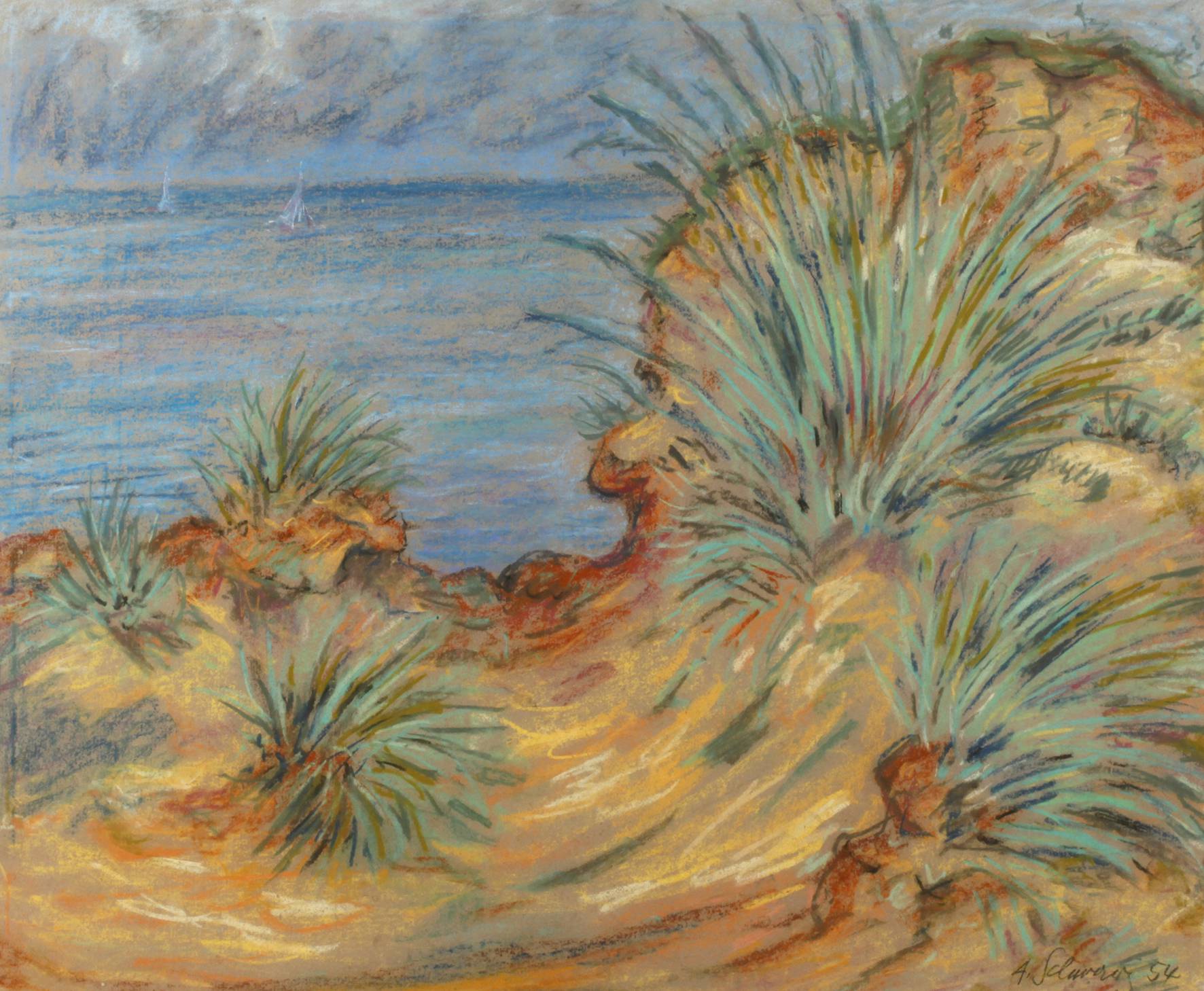 Albert Schwarz, An der Küste