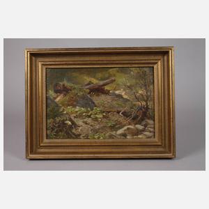 Carl Bolze, attr., Waldinneres