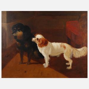 Zwei Hunde im Zimmer