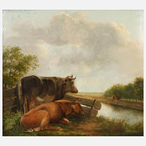 Kühe am Fluss