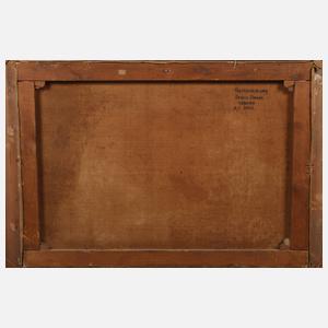 Sommerabend am Sturzbach