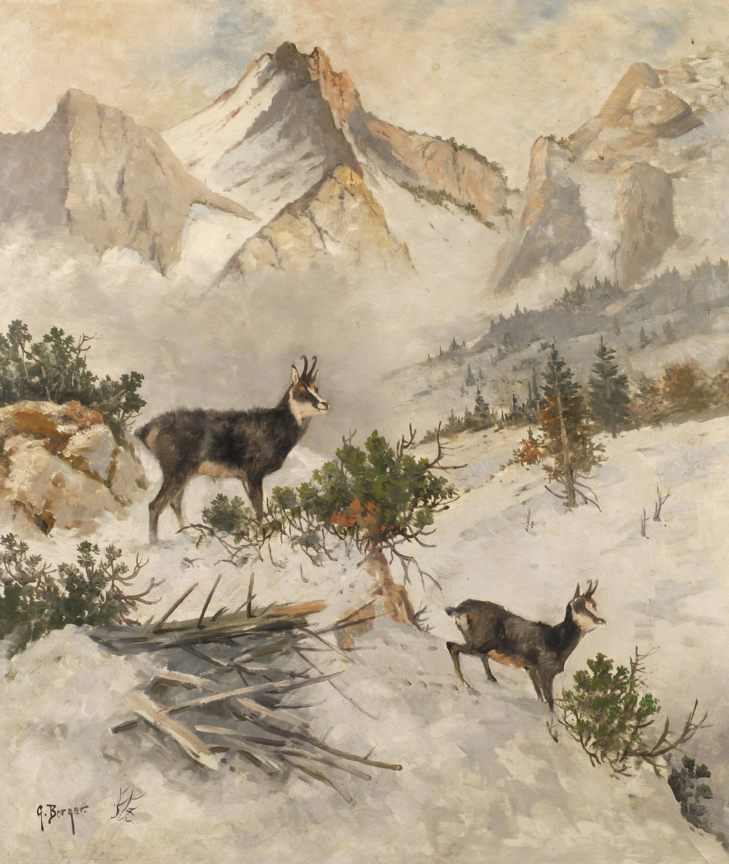 Prof. Georg Berger, Gämsen im Winter