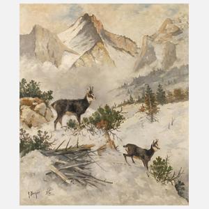 Prof. Georg Berger, Gämsen im Winter