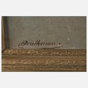 Christoffer Drathmann, Auffliegende Stockenten