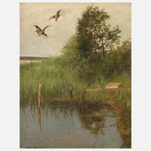 Christoffer Drathmann, Auffliegende Stockenten