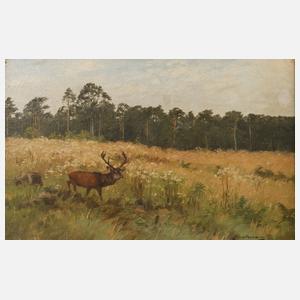 Christoffer Drathmann, Hirsch auf Waldlichtung
