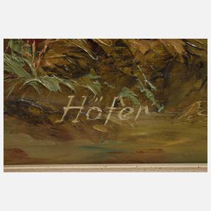 Erich Höfer, Historische Ansicht von Selb