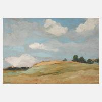 Gustav Macoun, Landschaftsstudie mit Wolken111
