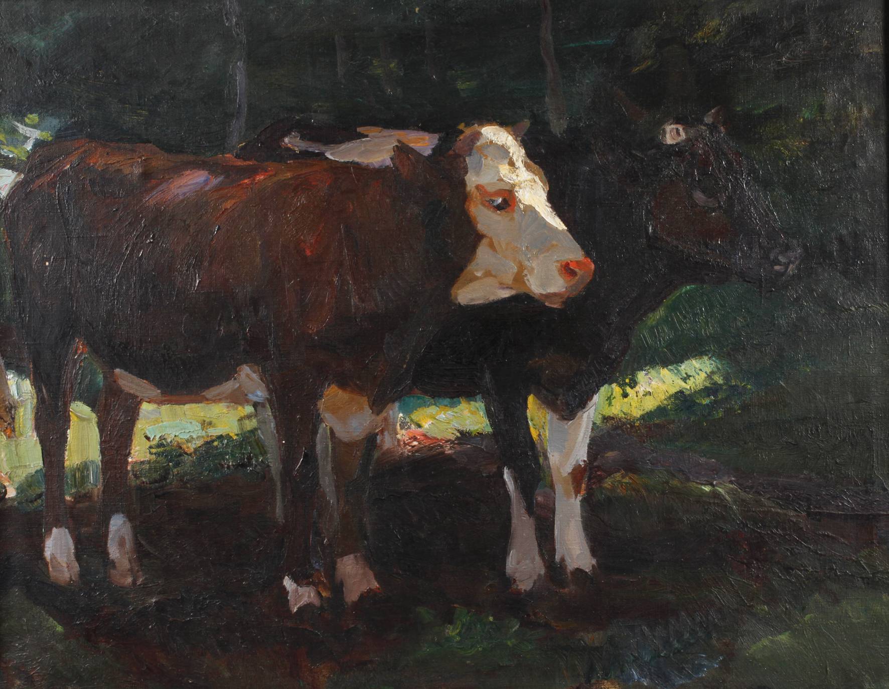 Prof. Anton Müller-Wischin, Rinderportrait