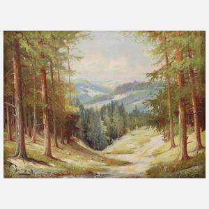 Pfeuffer, ”Thüringer Waldlandschaft”