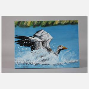 Saxana N. Schötschel, ”Graugans”