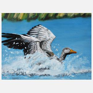 Saxana N. Schötschel, ”Graugans”