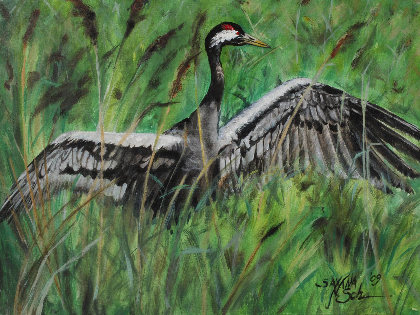 Saxana N. Schötschel, ”Kranich”