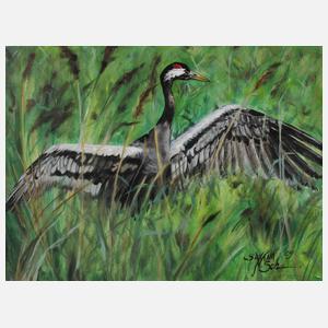 Saxana N. Schötschel, ”Kranich”