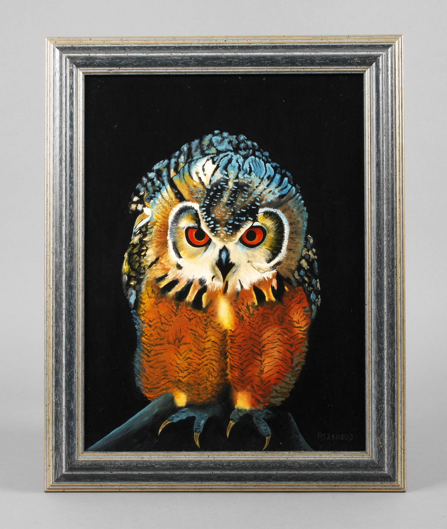 Portrait eines Käuzchens