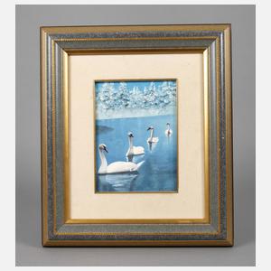 Schwäne in Winterlandschaft