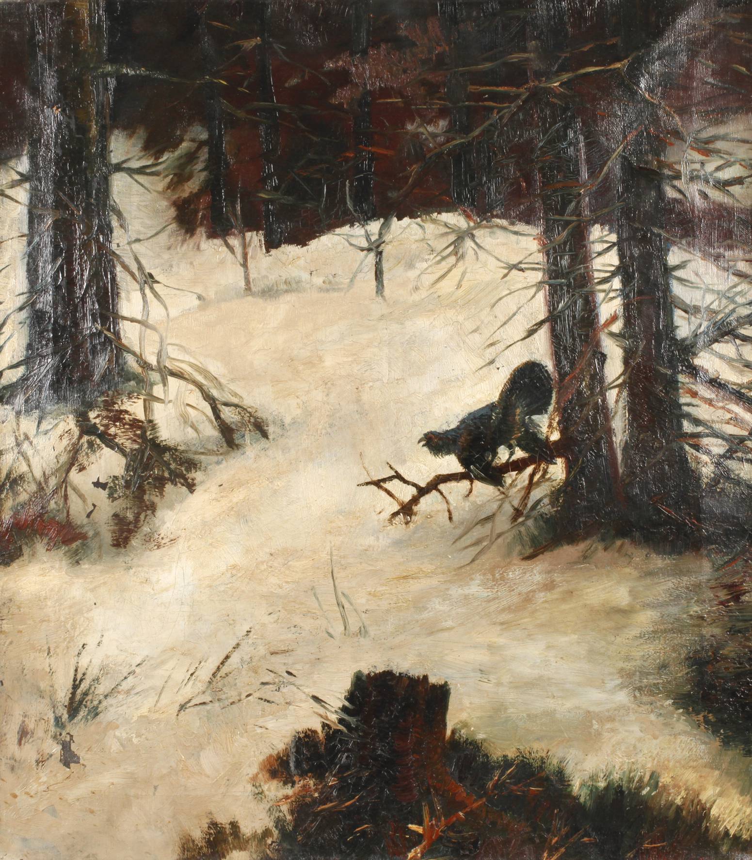 Auerhahn im Winterwald