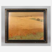 Schwarze Lackleiste111