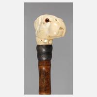 Spazierstock Elfenbein111