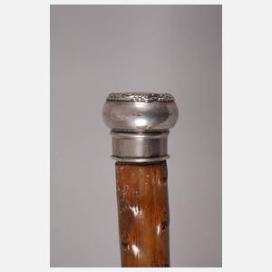 Spazierstock Silber