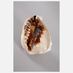 Große Perlmuttschnitzerei