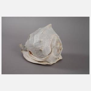 Große Perlmuttschnitzerei