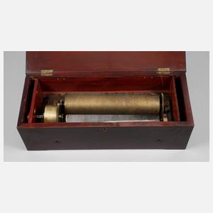 Große Walzenspieldose