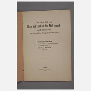 Menschlicher Schädel