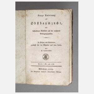 Kurze Anleitung zur Obstbaumzucht