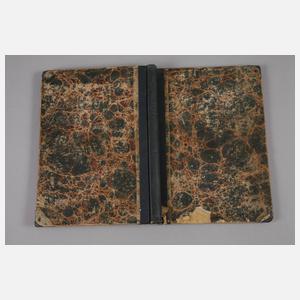 Die Illustrirte Welt