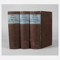 Handbuch der allgemeinen Literaturgeschichte111