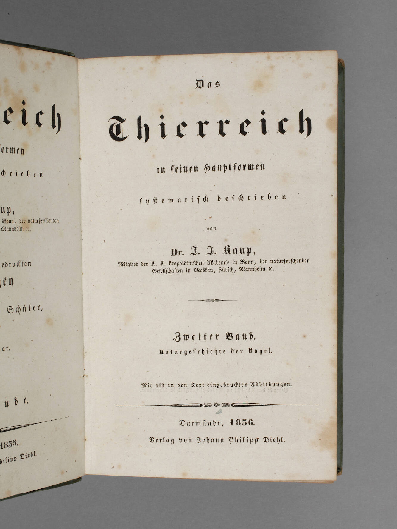 Das Thierreich in seinen Hauptformen