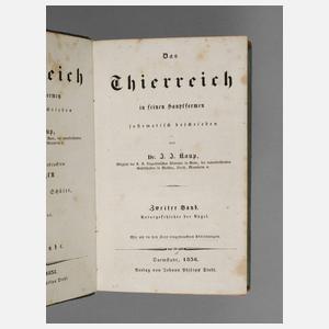 Das Thierreich in seinen Hauptformen