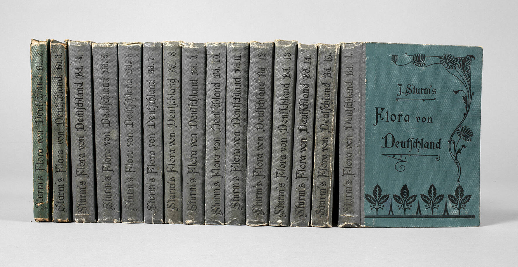 J. Sturms Flora von Deutschland