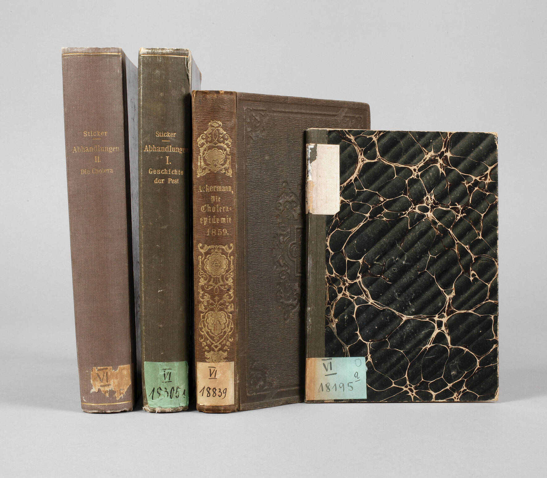 Konvolut Fachliteratur Seuchengeschichte