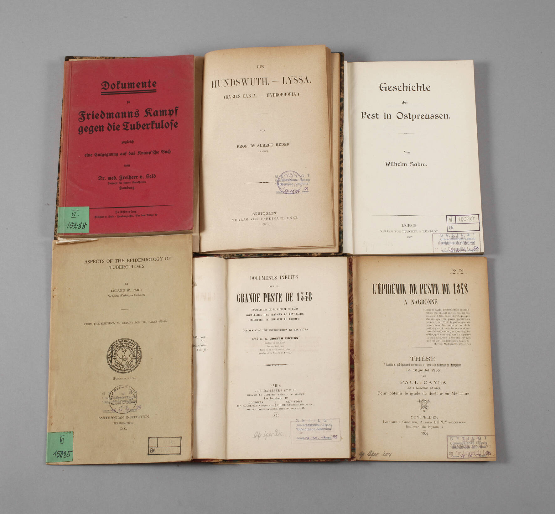 Konvolut Fachliteratur Pest und Tuberkulose