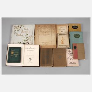 Konvolut Goethe-Literatur