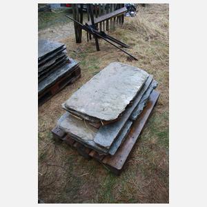 Konvolut Theumaer Fruchtschieferplatten